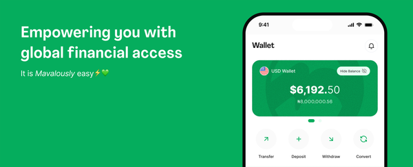 Introducing Mavapay Money App